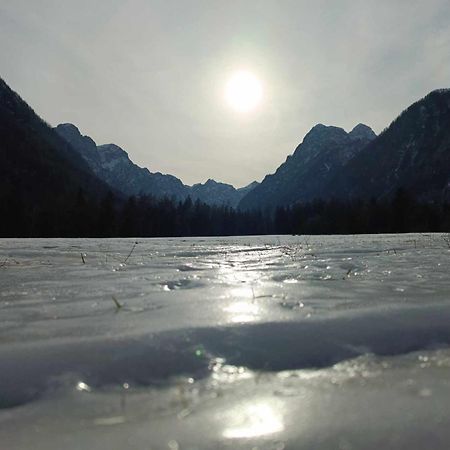 Turisticna Kmetija Psnak Lägenhet Mojstrana Exteriör bild