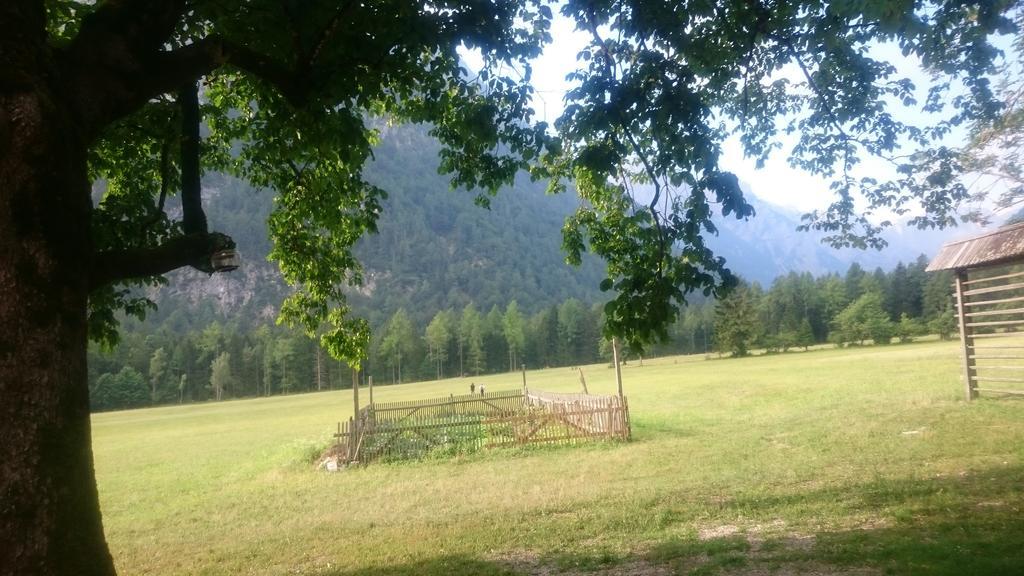Turisticna Kmetija Psnak Lägenhet Mojstrana Exteriör bild