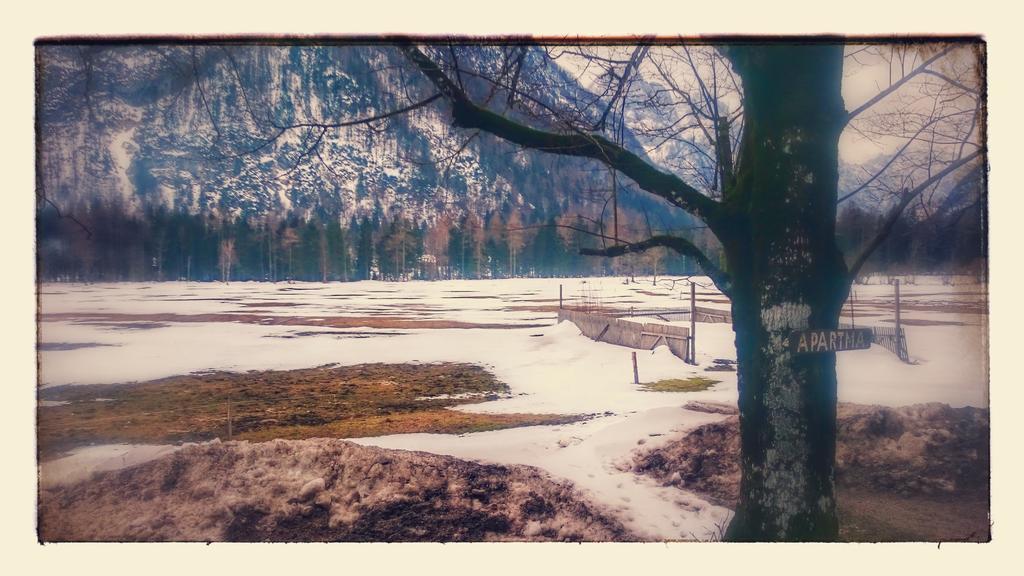Turisticna Kmetija Psnak Lägenhet Mojstrana Exteriör bild