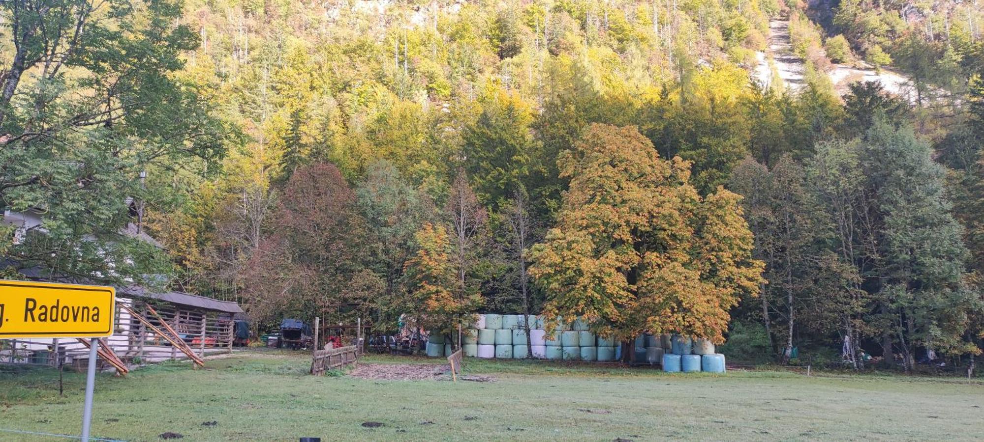 Turisticna Kmetija Psnak Lägenhet Mojstrana Exteriör bild