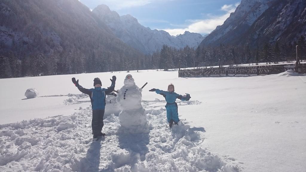 Turisticna Kmetija Psnak Lägenhet Mojstrana Exteriör bild