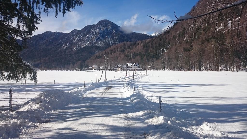 Turisticna Kmetija Psnak Lägenhet Mojstrana Exteriör bild