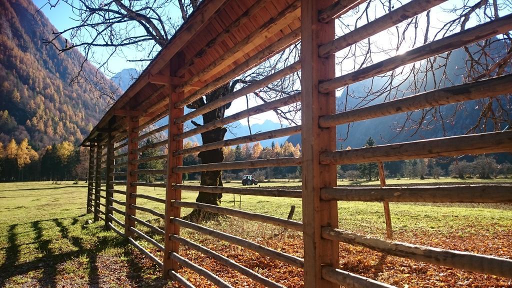 Turisticna Kmetija Psnak Lägenhet Mojstrana Exteriör bild