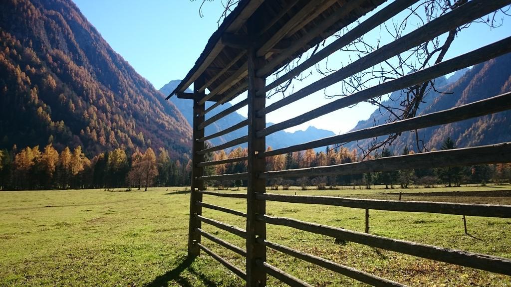 Turisticna Kmetija Psnak Lägenhet Mojstrana Exteriör bild