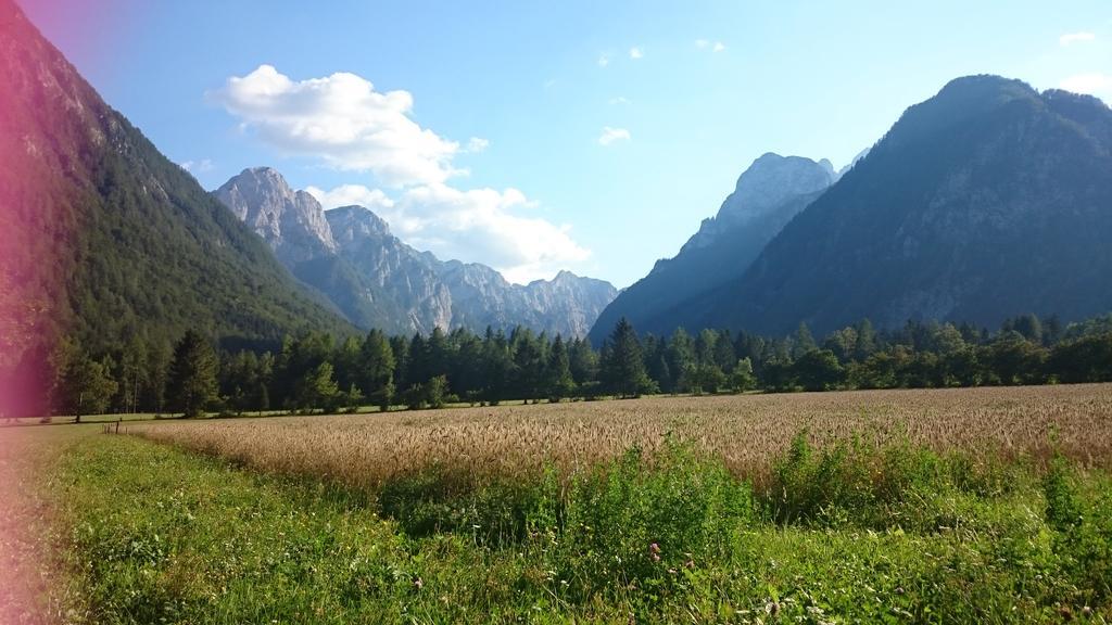 Turisticna Kmetija Psnak Lägenhet Mojstrana Exteriör bild
