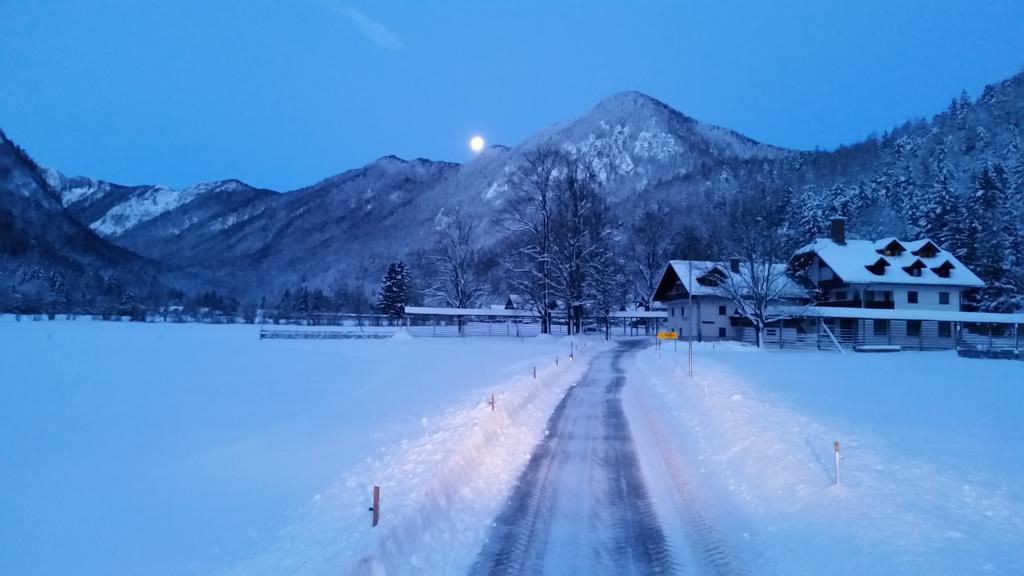 Turisticna Kmetija Psnak Lägenhet Mojstrana Exteriör bild