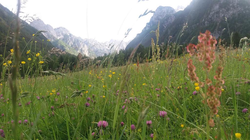 Turisticna Kmetija Psnak Lägenhet Mojstrana Exteriör bild