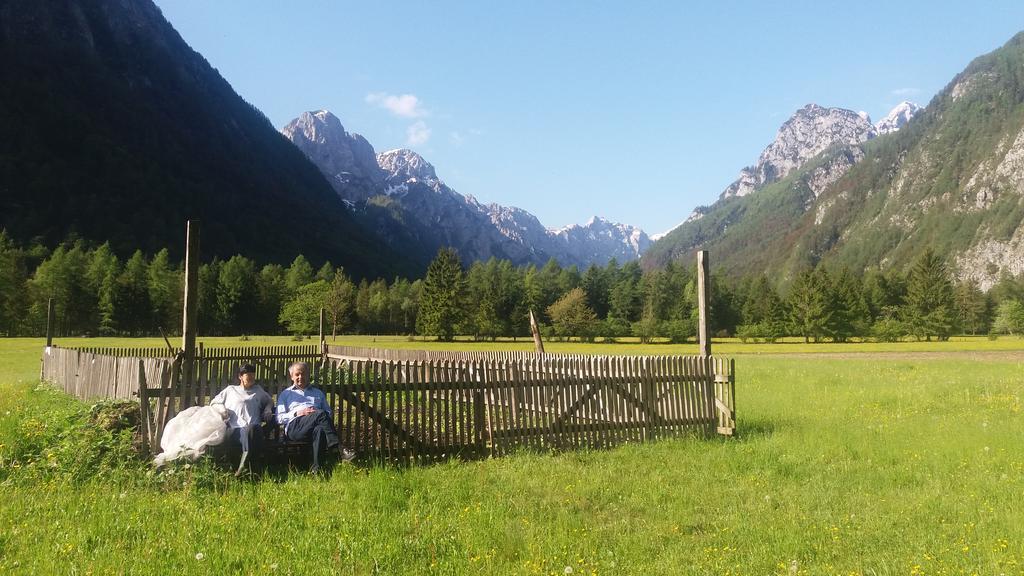 Turisticna Kmetija Psnak Lägenhet Mojstrana Exteriör bild