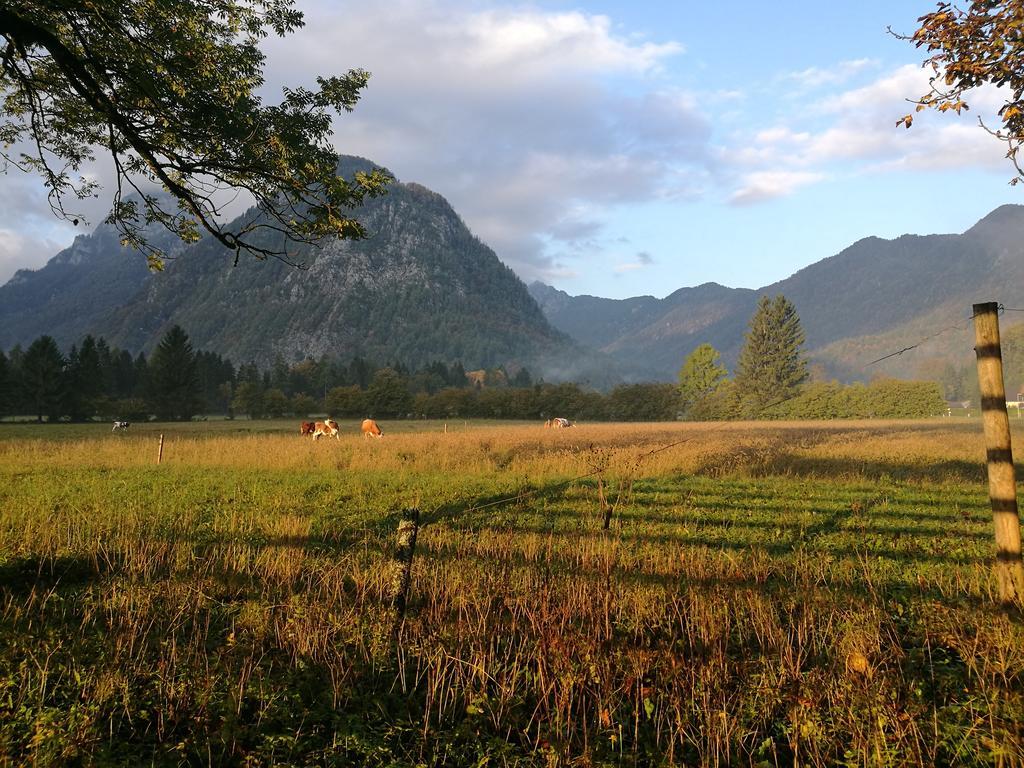 Turisticna Kmetija Psnak Lägenhet Mojstrana Exteriör bild
