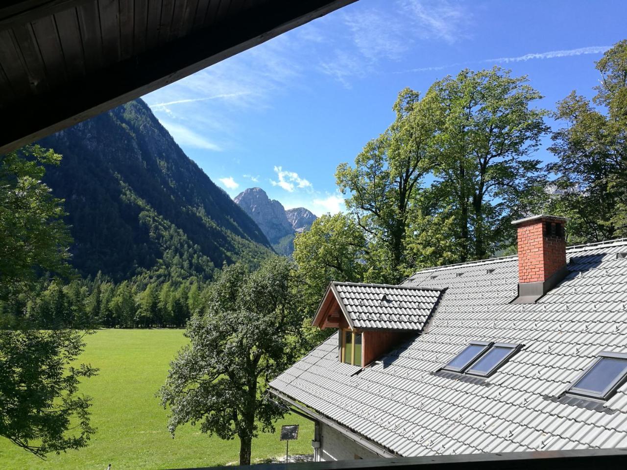 Turisticna Kmetija Psnak Lägenhet Mojstrana Exteriör bild