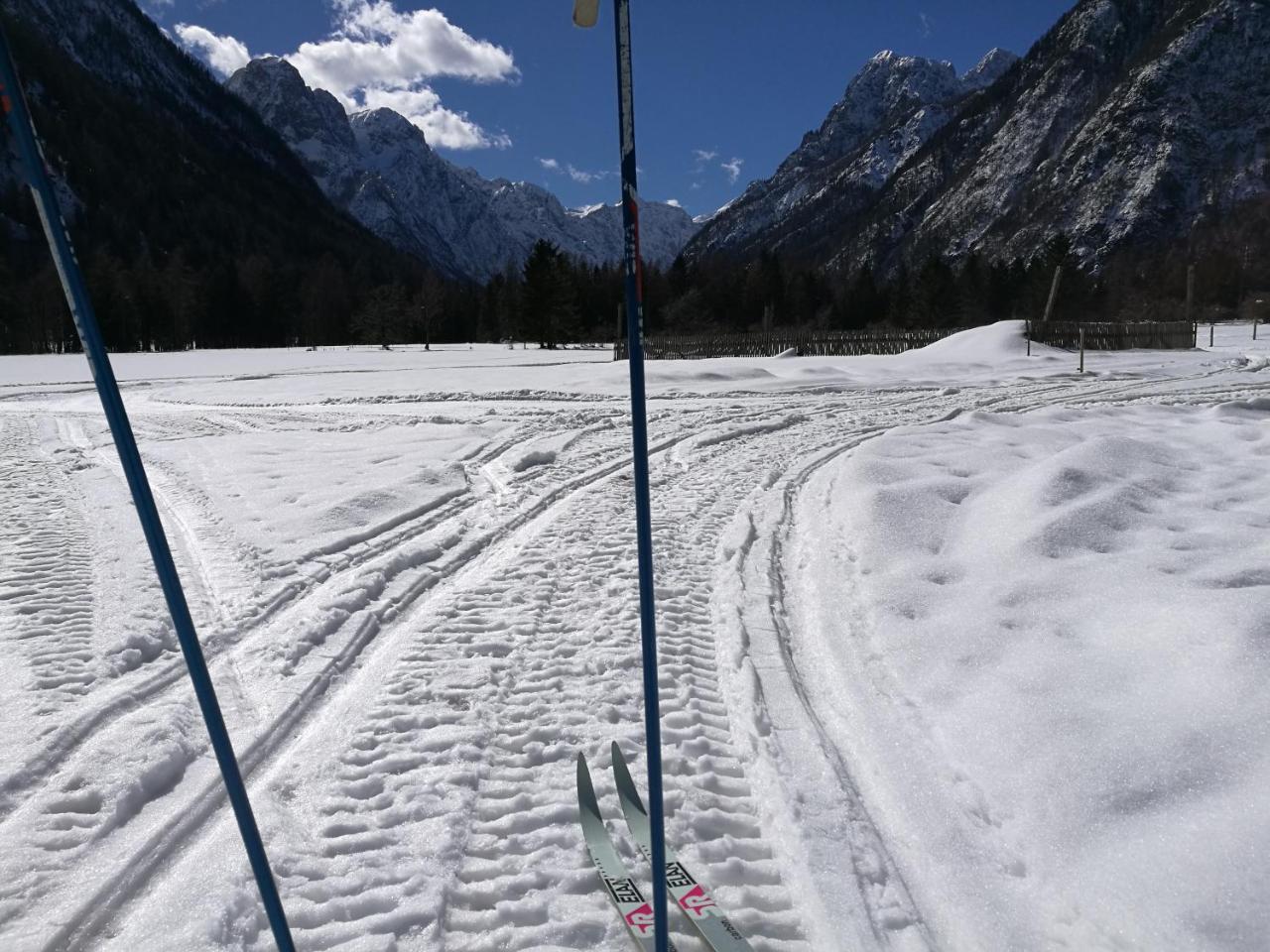 Turisticna Kmetija Psnak Lägenhet Mojstrana Exteriör bild