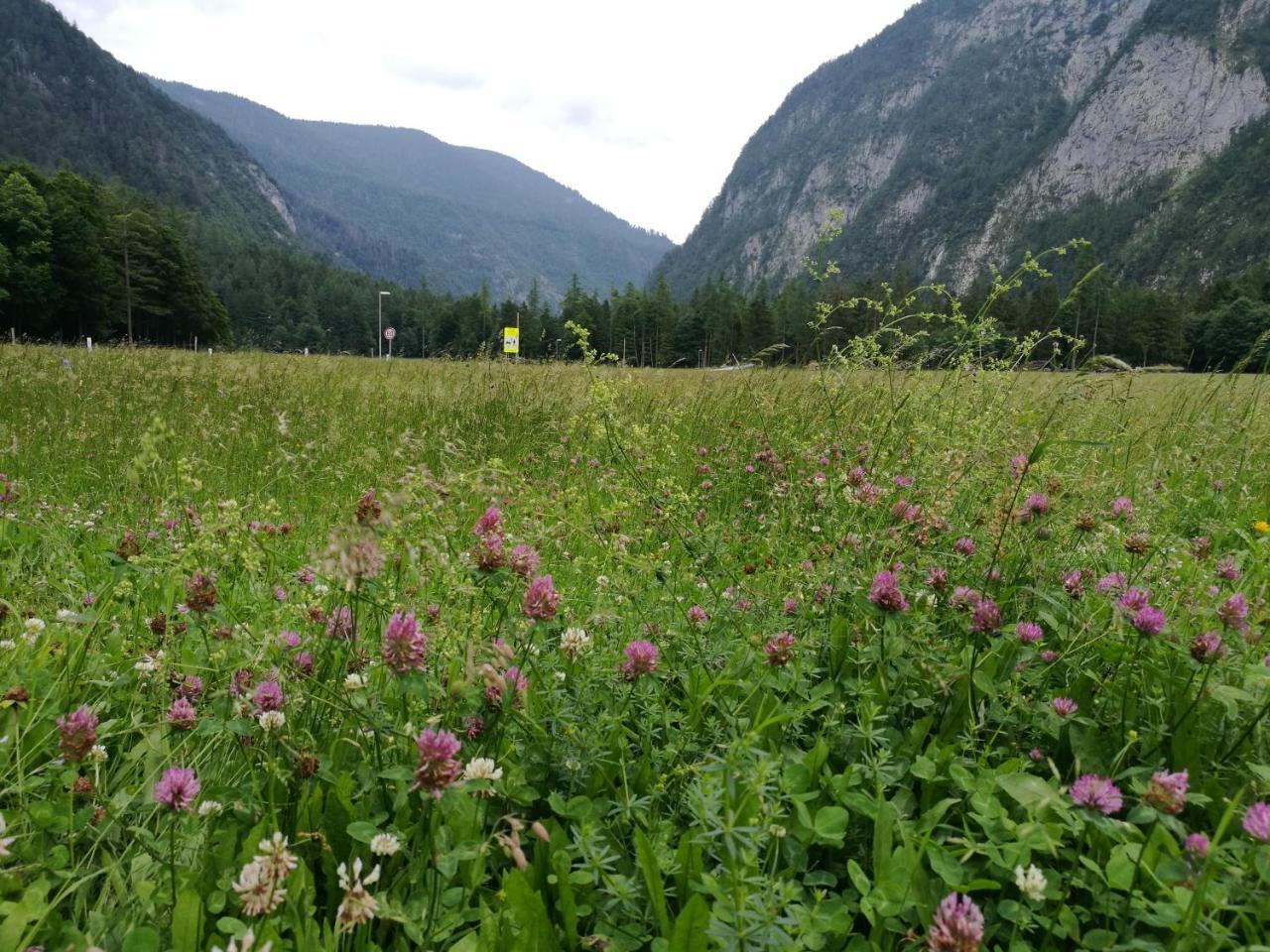 Turisticna Kmetija Psnak Lägenhet Mojstrana Exteriör bild